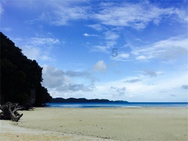 石阡：特色养殖前景好 乡村振兴产业旺